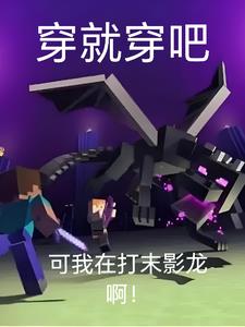 Wear it if you want, but I'm fighting the Ender Dragon!